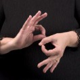 /album/fotogaleria/sign-language-jpg/